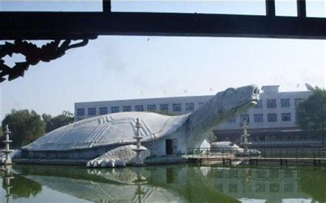 中国巨龟建筑：建造重达吨耗资1，后面还有成千上万小乌龟__财经头条