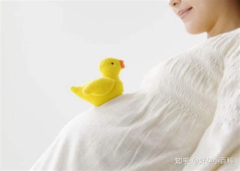 在深圳做试管婴儿大约要花多少的手术费用-深圳中山泌尿外科医院