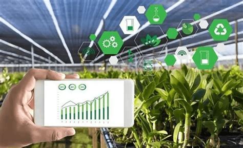 智慧农业物联网平台 - 美名软件