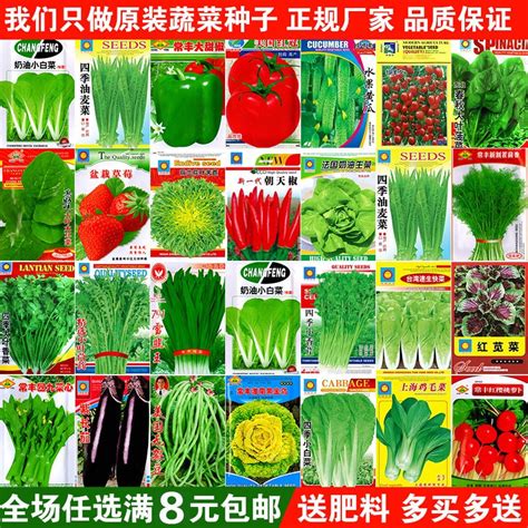 蔬菜种子♥36种可选♥包对版♥打造阳台菜园 - 花花优选