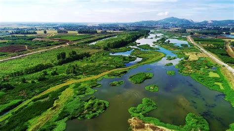 河南内乡湍河湿地省级自然保护区 - 关注森林