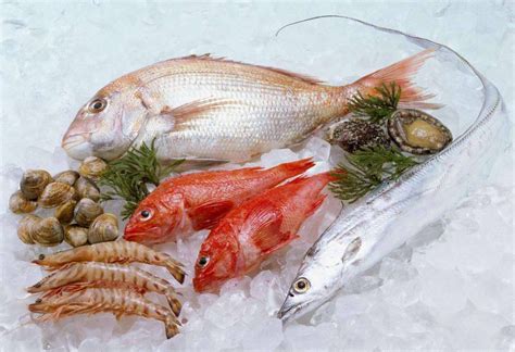 福州市瑞天渔业发展有限公司提供各类海鲜冻品 - FoodTalks食品供需平台