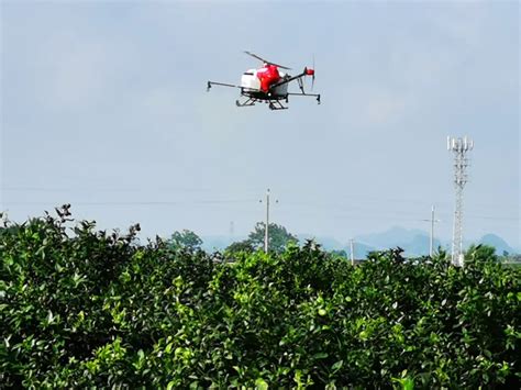 农药无人机 农用无人机 T21植保无人机