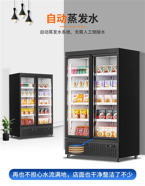 冷藏立式冰柜展示柜 商用冰箱 啤酒水果双门保鲜柜 单门饮料柜-阿里巴巴