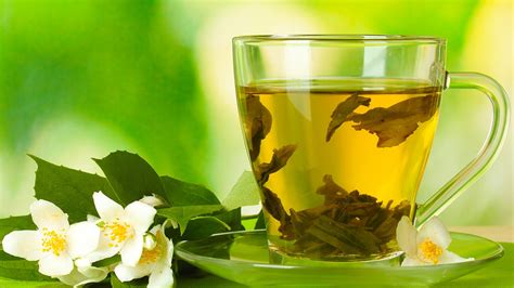 桑叶茶的功效和好处都有哪些 桑叶茶现代应用方法有什么-中药知识-复禾医药