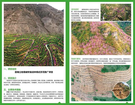 困难立地植被恢复造林模式示范推广项目-云南省林业和草原技术推广总站