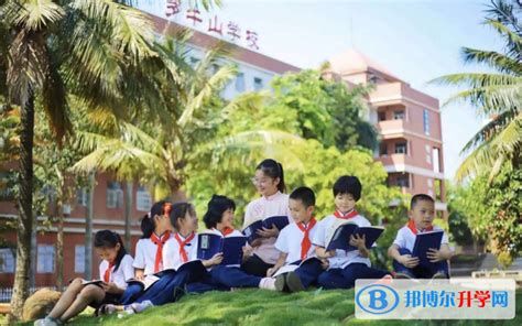 青岛海山学校今年起加入自招 面向五区招收100人-半岛网
