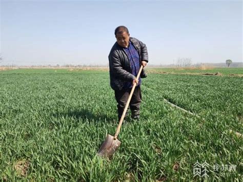 老照片：1982年的中国农村 农民伯伯种田好辛苦|种田|伯伯|农民_新浪新闻