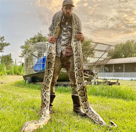 海南大蟒科技有限公司蟒蛇繁育基地一日游 - 蟒蛇科普