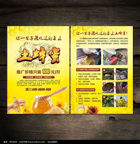 土蜂蜜宣传单DM单图片下载_红动中国
