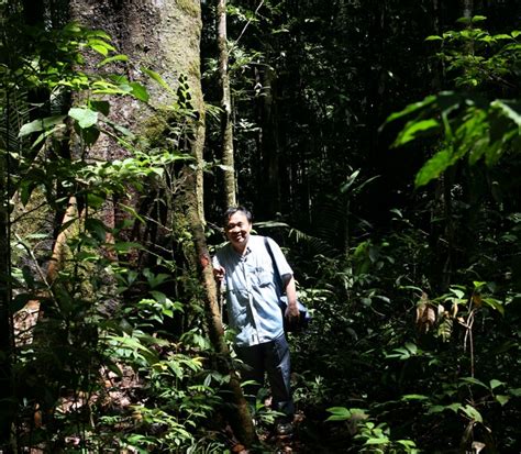 南美雨林摄影图片-南美雨林摄影作品-千库网