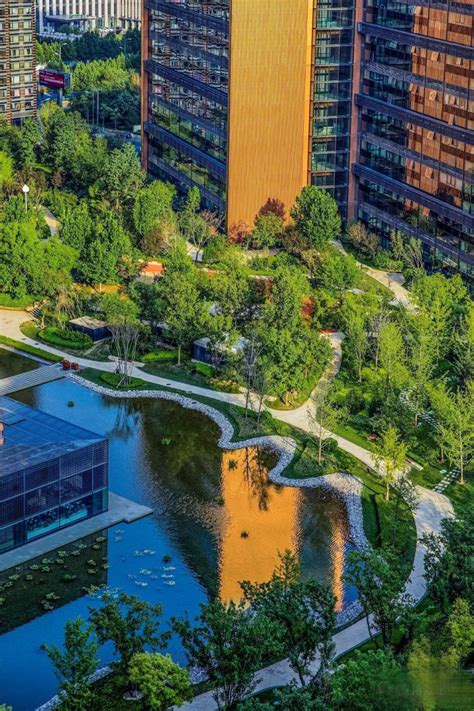 城市公园生态景观设计的五大要点-公司新闻-河南图鉴建筑规划设计有限公司