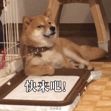 快点啊图片