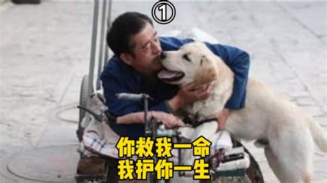一人一狗同框图片
