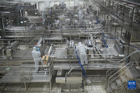 中企投资的印尼冰淇淋工厂正式投产_时图_图片频道_云南网