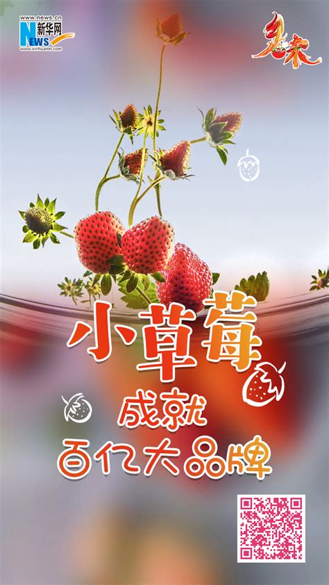 乡味|安徽长丰：小草莓成就百亿大品牌-新华网