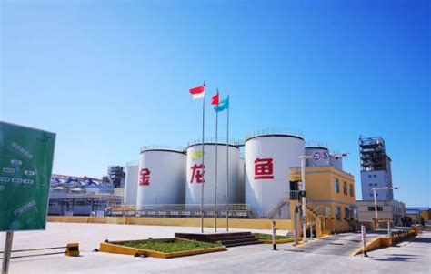 油脂精炼的主要步骤及其目的_河南中瑞粮油机械设备厂家