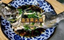 黑头鱼图片