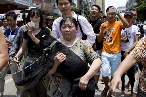 6月21日广西玉林狗肉节如期举行？国际动保组织救出10只小狗 - 知乎
