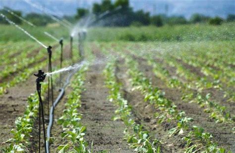 浅谈农业高效节水灌溉技术的选择-郑州金斗云电子科技有限公司
