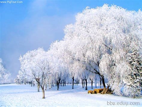 有关美景的作文：冬天是一幅美丽的风景画