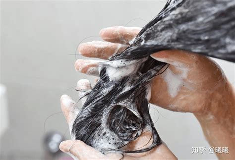 有哪些比较好的防脱发洗发水？ - 知乎