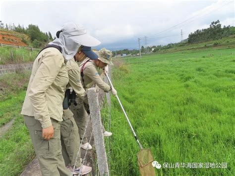 打造“湿地花城”，武汉今年建3个小微湿地示范点_长江网武汉城市留言板_cjn.cn