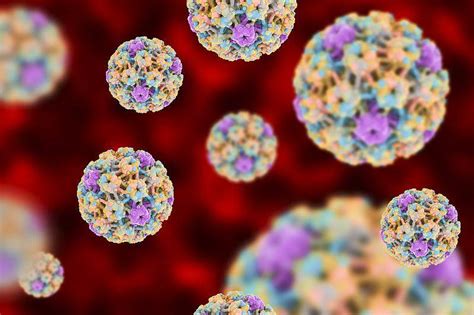 女子感染HPV52，半年成功转阴，医生：3个方法值得一试_免疫力
