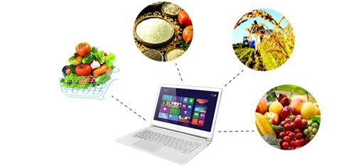网络营销农产品电子商务与网络营销PPT模板免费下载_编号14jckm8e1_图精灵