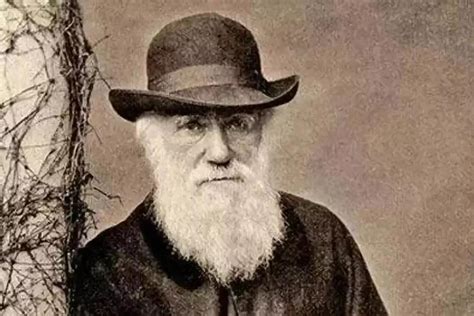 达尔文进化论的主要观点是什么_初三网