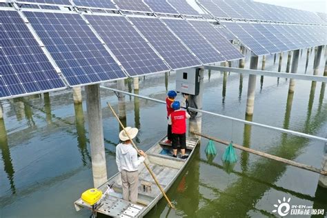 山东滨州沾化区2吉瓦渔光互补光伏项目首批机组并网发电