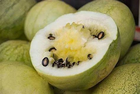 西瓜品种有哪些？西瓜品种图片分辨-枣百科