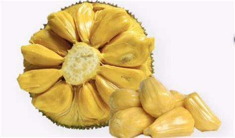 菠萝蜜的营养价值及功效与作用_健康大百科