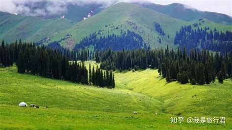 新疆伊犁：游人尽享夏日风光-人民图片网