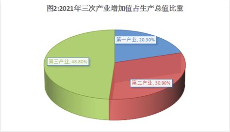 (贵州省)毕节市2020年国民经济和社会发展统计公报-红黑统计公报库