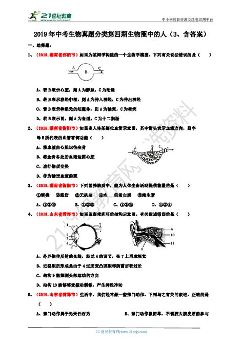 高中生物考试常考的知识点总结Word模板下载_编号qxpwapyb_熊猫办公