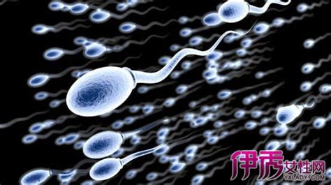 【正常的精子是什么样的】【图】男性正常的精子是什么样的 主要从这三个方面看(3)_伊秀健康|yxlady.com