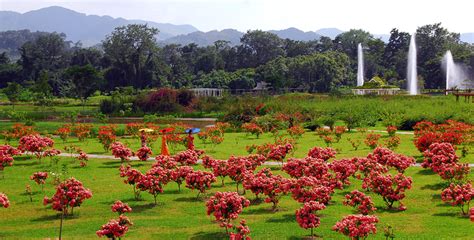 中科院西双版纳热带植物园,田园田野,自然风景,摄影素材,汇图网www.huitu.com