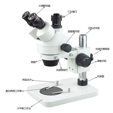 显微镜的操作步骤