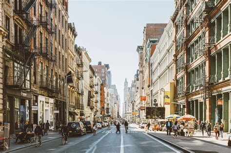 Street Trees 的图像结果