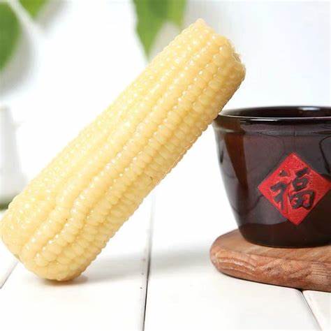 京科糯2000白糯玉米种子简介(彩色甜糯玉米种子十大排行榜)