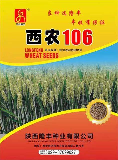 2021小麦品种十大排名 - 惠农网