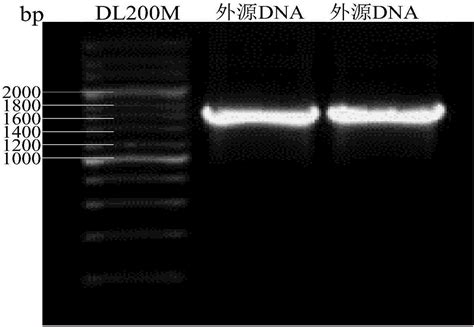 杭州nullBrand,： 新MF3多功能一体机Item#,null, 迅数新MF3显微细胞分析、菌落计数筛选、抑菌圈测量联用仪