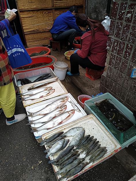 菜市场买鱼图片,菜市场卖鱼图片,菜市场鱼摊图片_大山谷图库