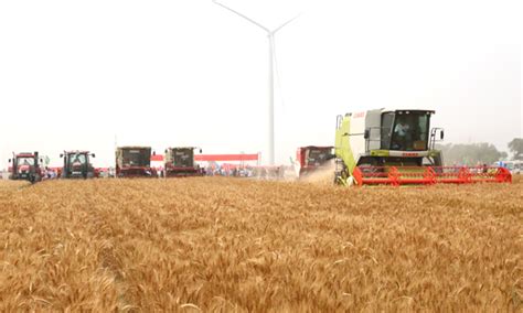 2021年大规模小麦跨区机收全面展开 | 农机新闻网