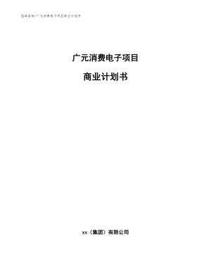 广元消费电子项目商业计划书