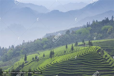 晨雾缭绕的群山与小村庄高清图片下载-正版图片500692636-摄图网