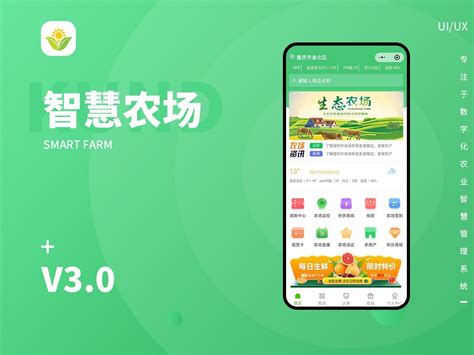 175,000 的图像结果
