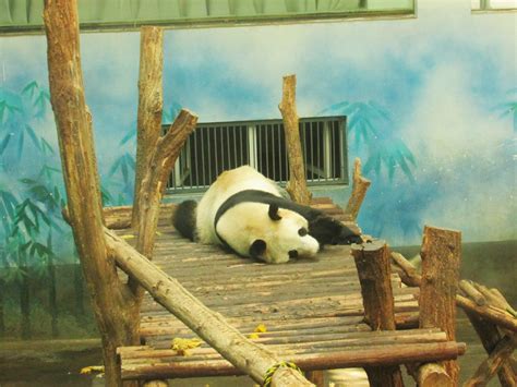 古都第一农家乐—南京红山森林动物园 - 知乎