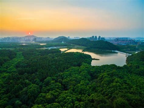 这座看日出的“网红山”要升级了，江夏将建“三山公园”_武汉_新闻中心_长江网_cjn.cn